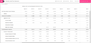 Monthly Cash Flow Statement