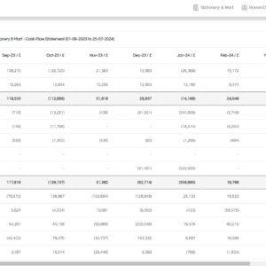 Monthly Cash Flow Statement