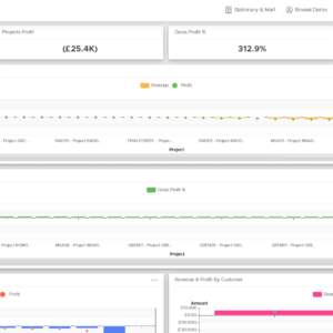 Project Profitability
