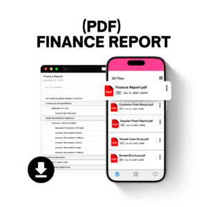 (PDF) Finance Report Roveel