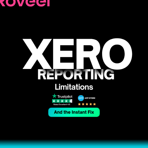 Xero Reporting Limitations